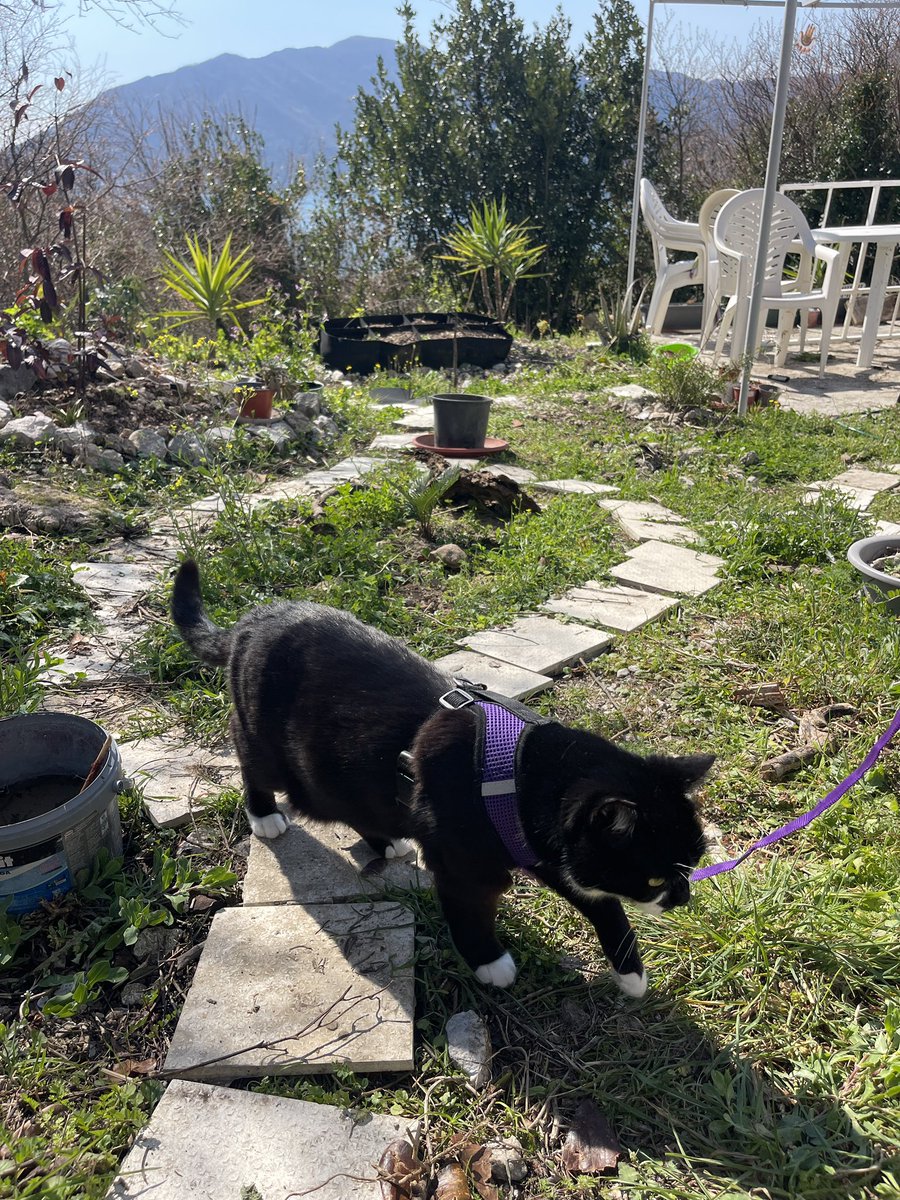 Irina Ideas tweet media