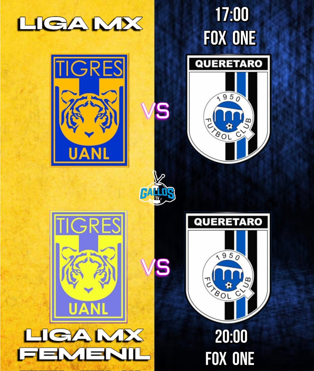 GallosTV tweet media