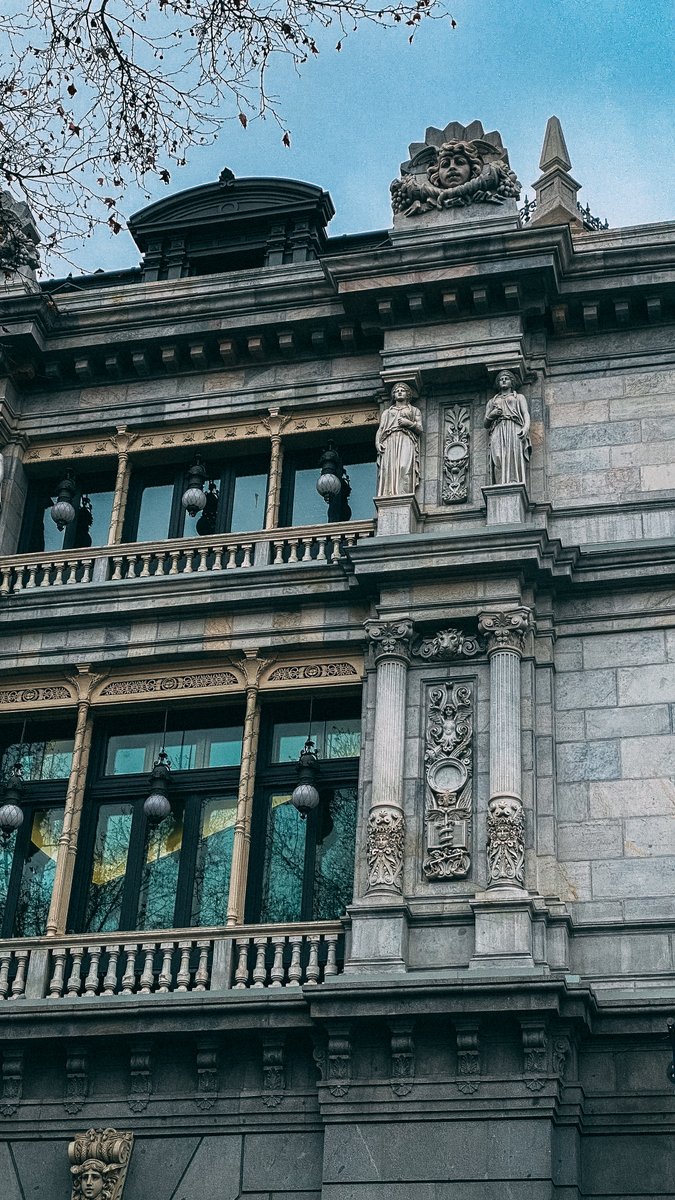 Patrick Van Negri tweet media