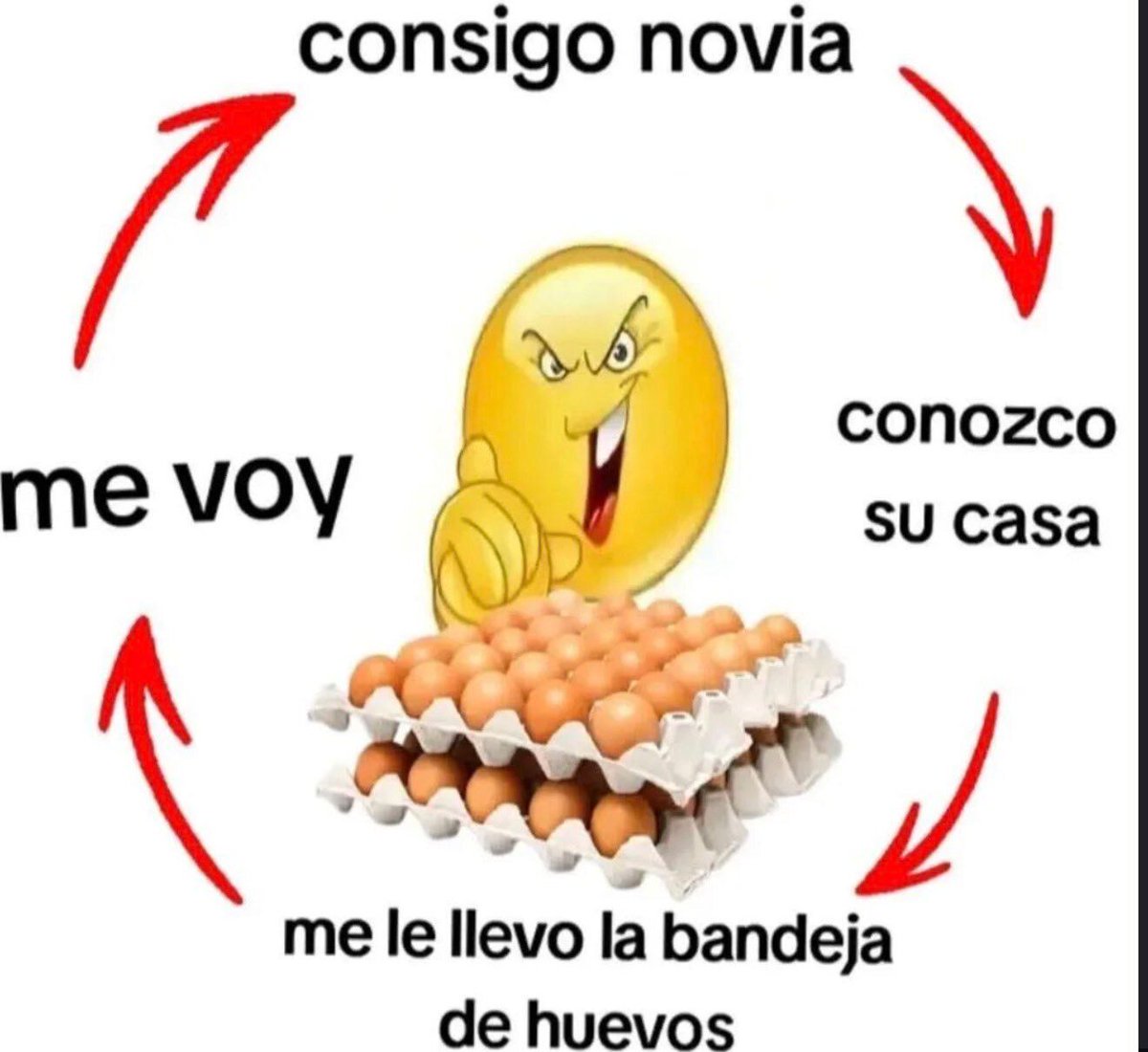 chincheto pirata somali (@wikipistacho) on Twitter photo 