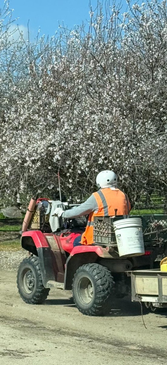 United Farm Workers tweet media