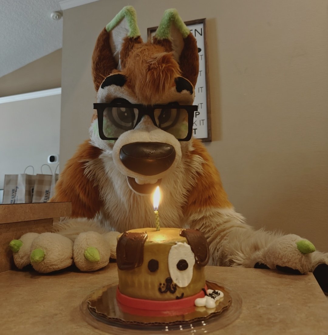 Kolone Husky🐾🏎️ tweet media