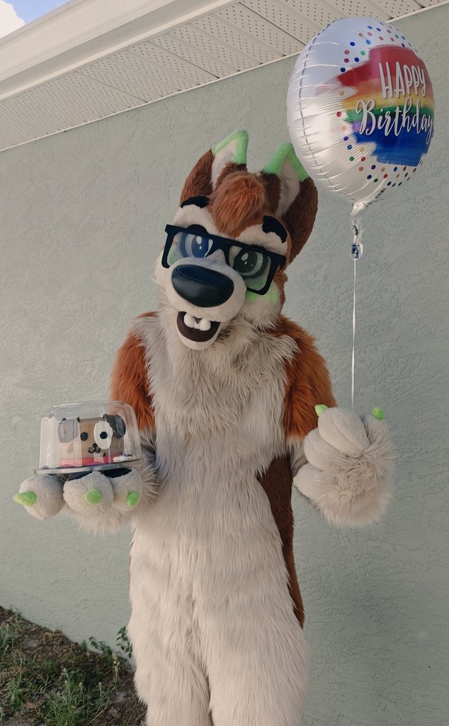 Kolone Husky🐾🏎️ tweet media