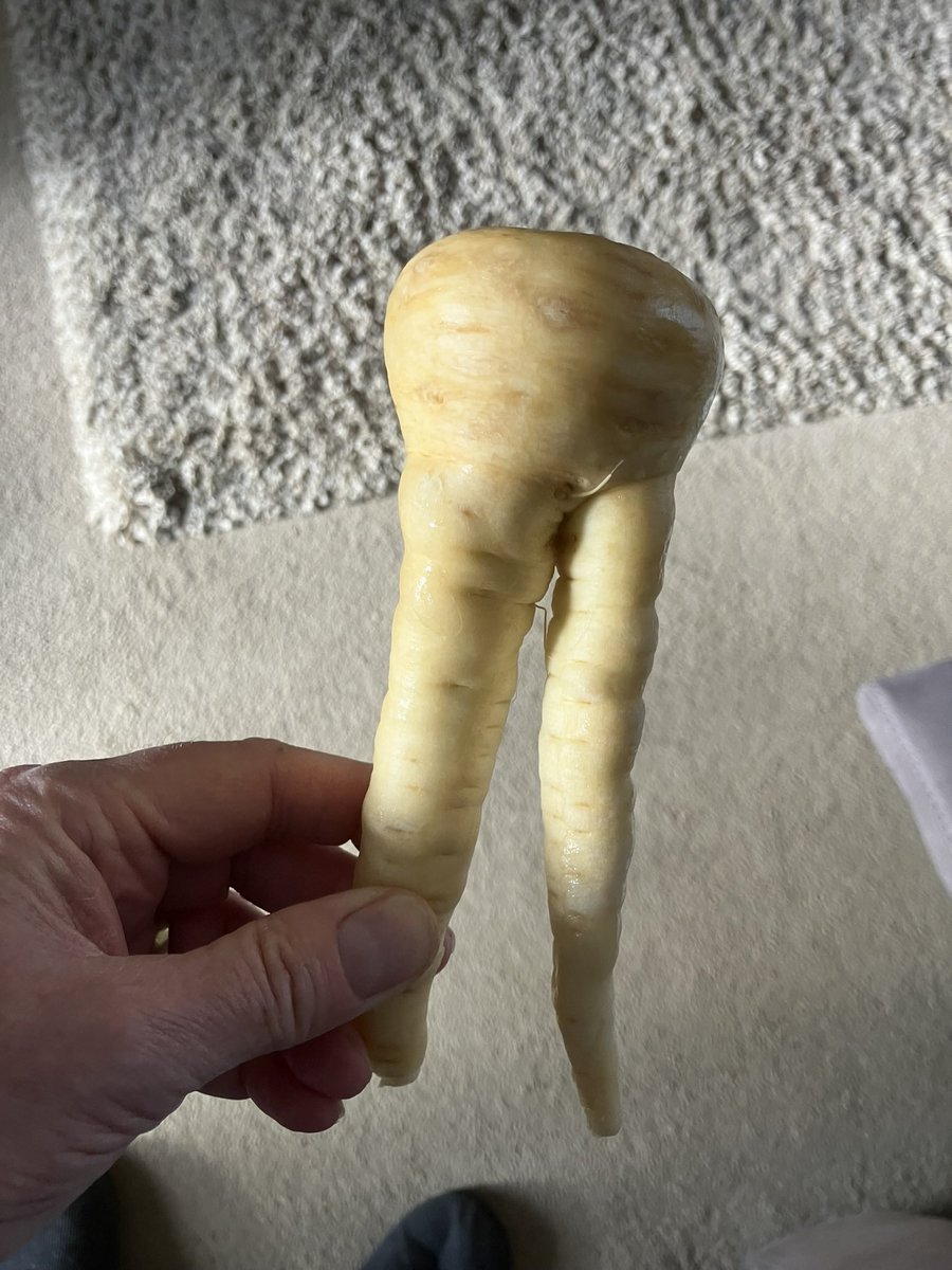 markdennison 💙 tweet media