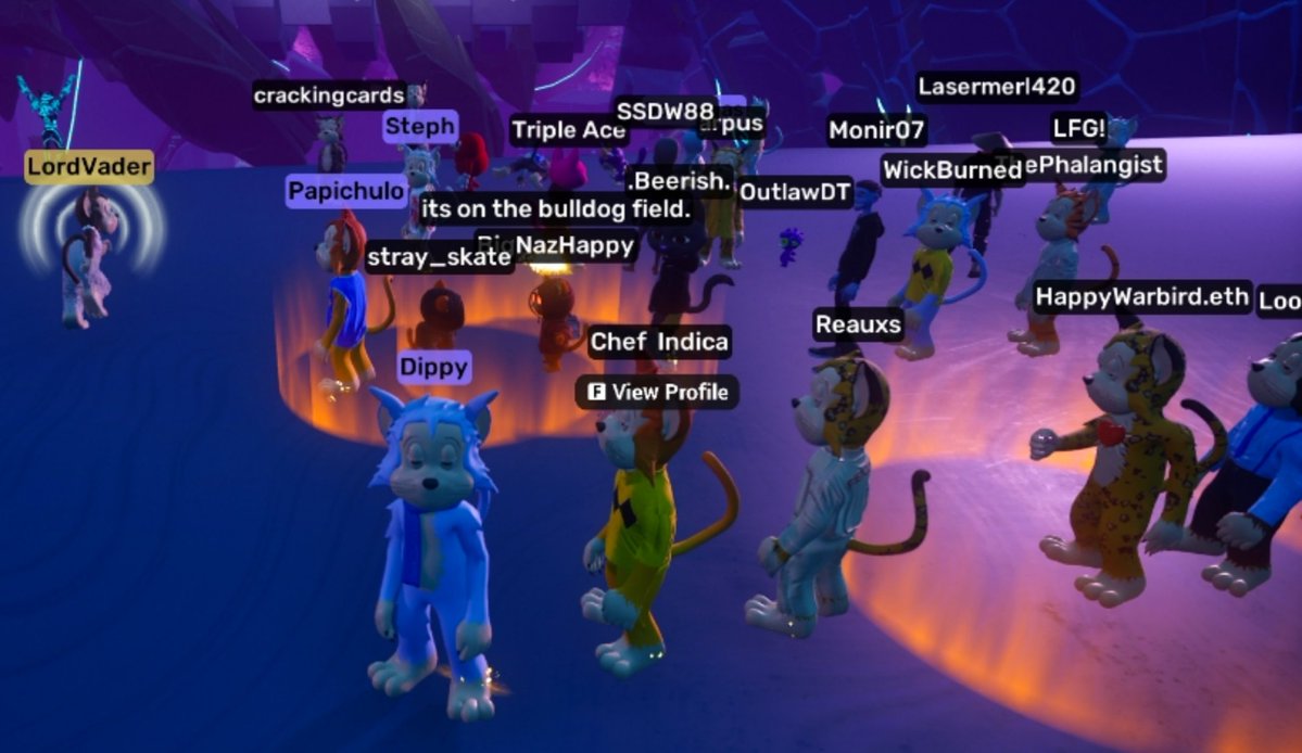 Dippy 💙 tweet media