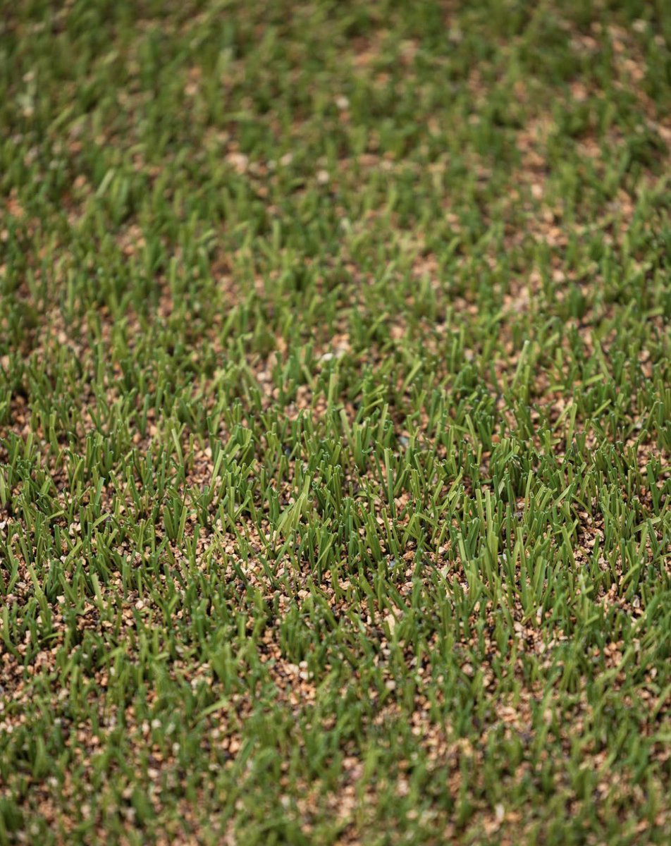 Gustavo Terini tweet media