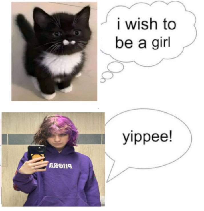 cis tgirl(s) tweet media