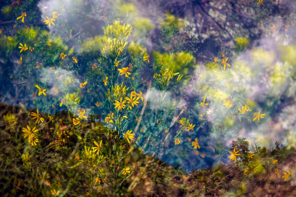 Rich Herrmann Creates! 🌎 Lens-Based Artist tweet media