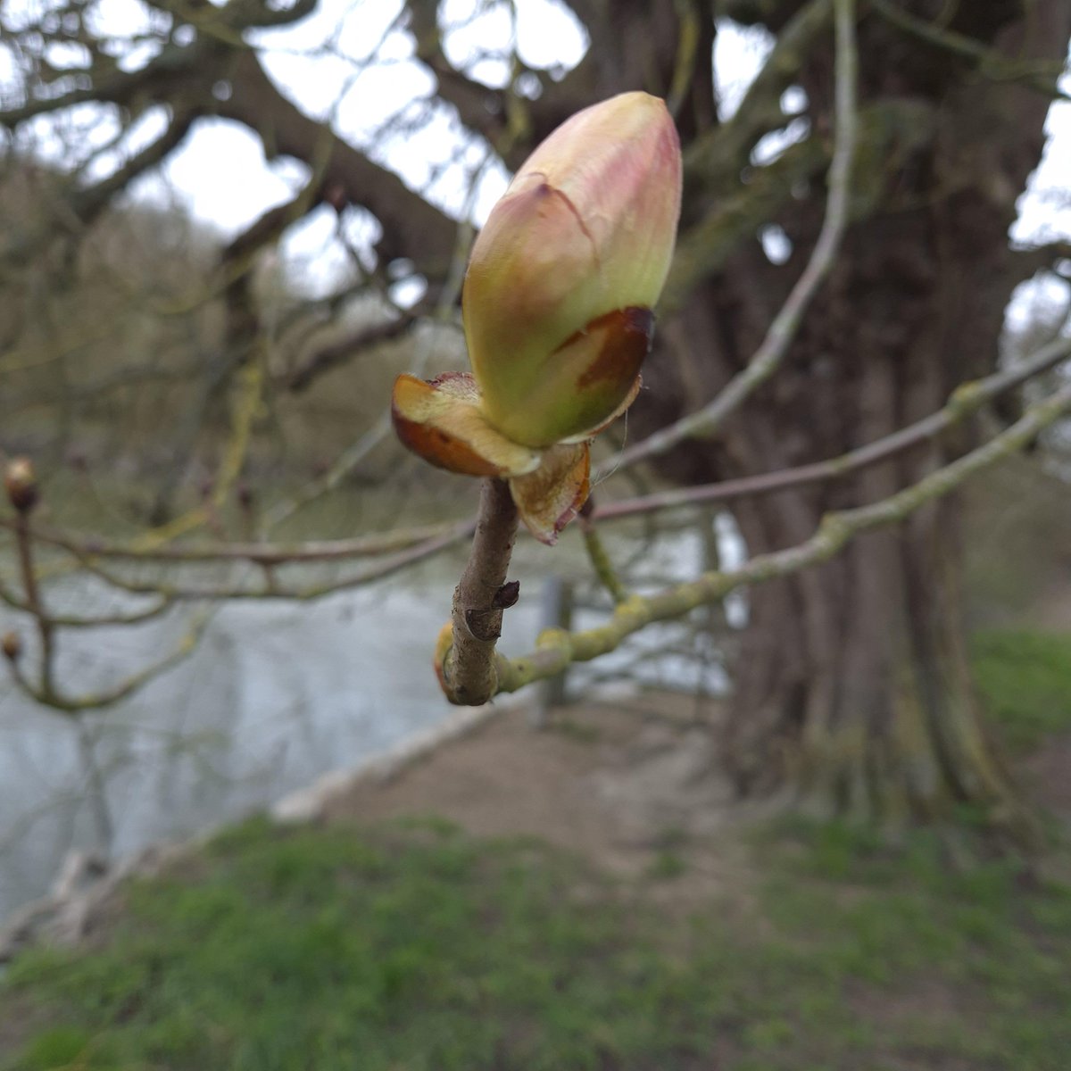 Thames Path National Trail tweet media