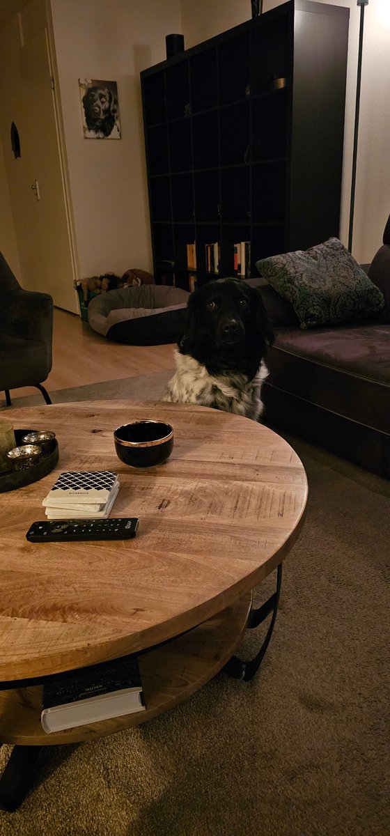 Dave Dröge tweet media