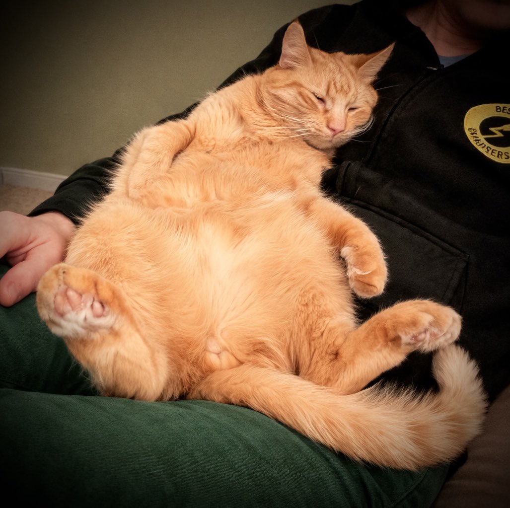 Tim Oldland tweet media