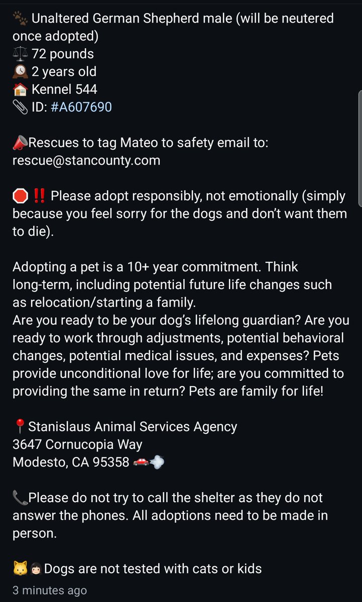 Foster a shelterpet at ZERO COST🐾 tweet media