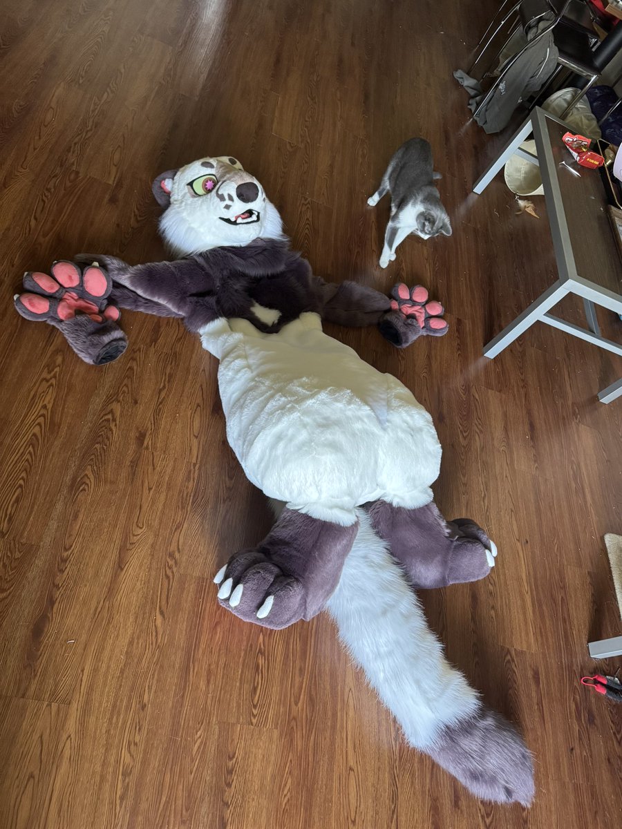 Kei ☼ 🔜TFF ‘26 tweet media