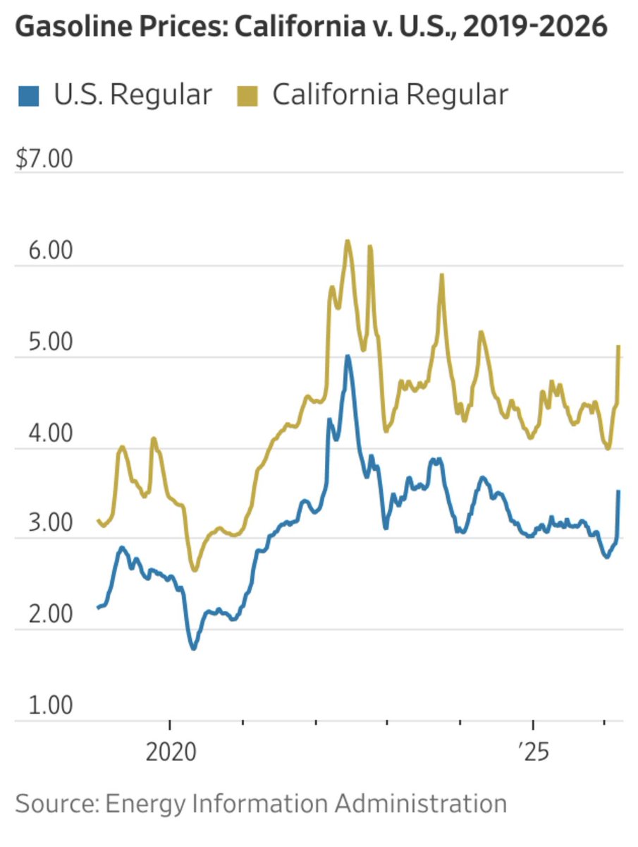 Steve Guest tweet media
