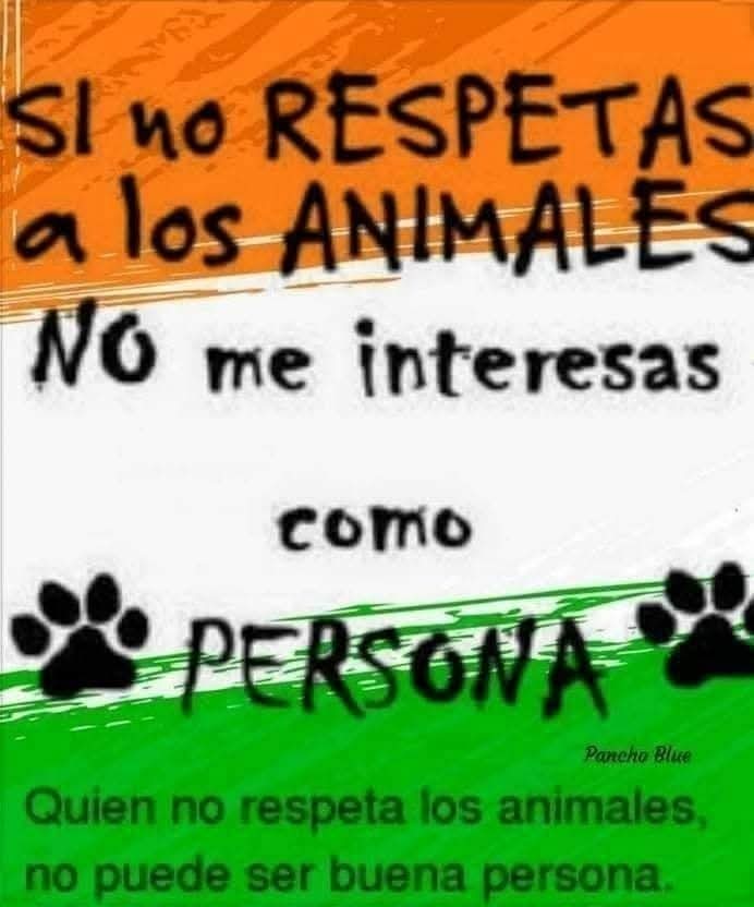 GRamirezF_D12's tweet photo. ASÍ DE SIMPLE.!. 🎗️ https://t.co/tfkTWJTHZn