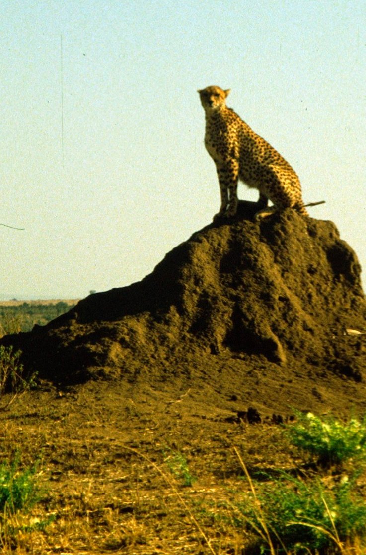 Andy Godfrey tweet media