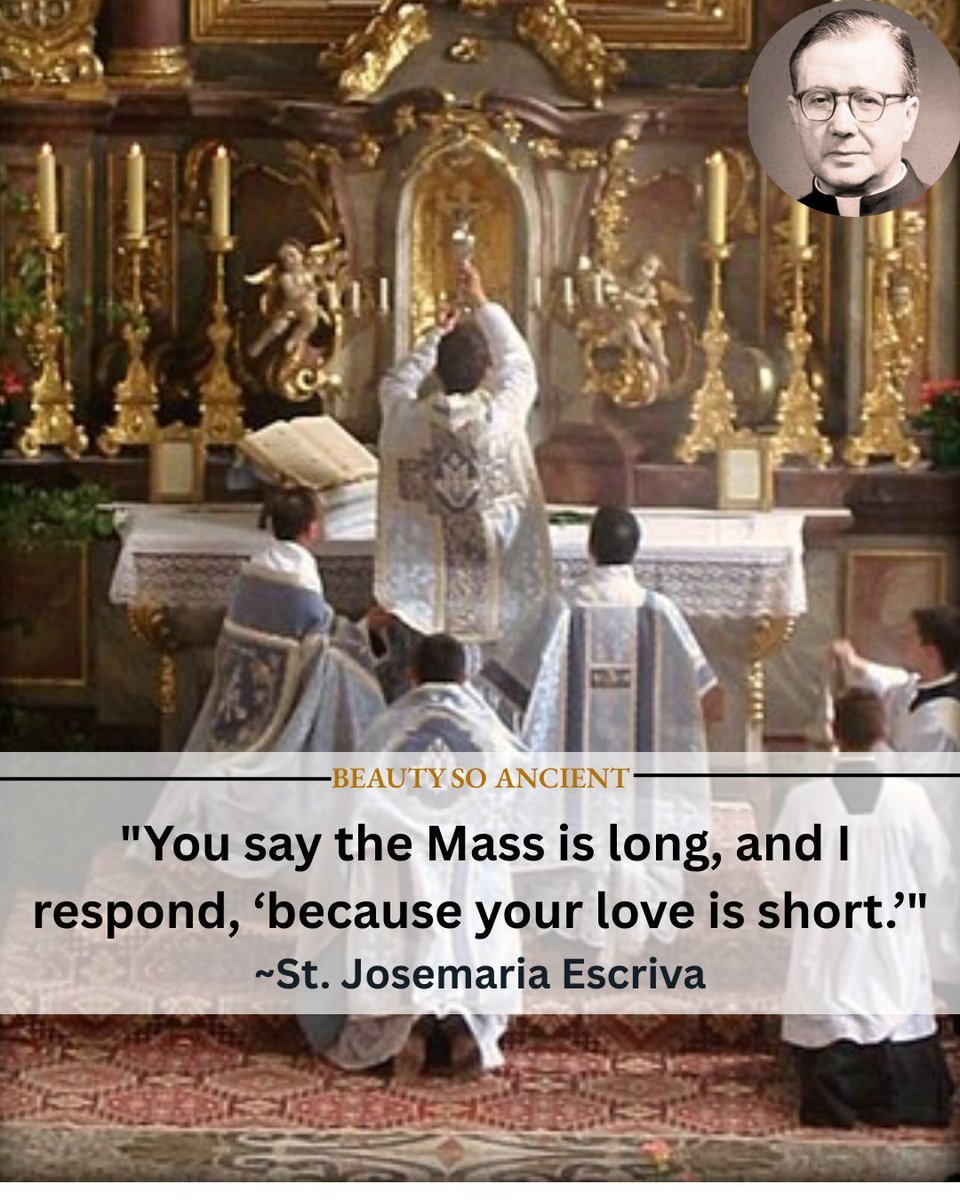 Mark Lambert tweet media