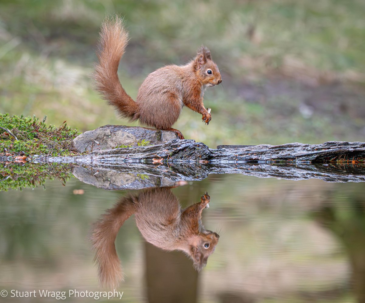 Stuart Wragg tweet media