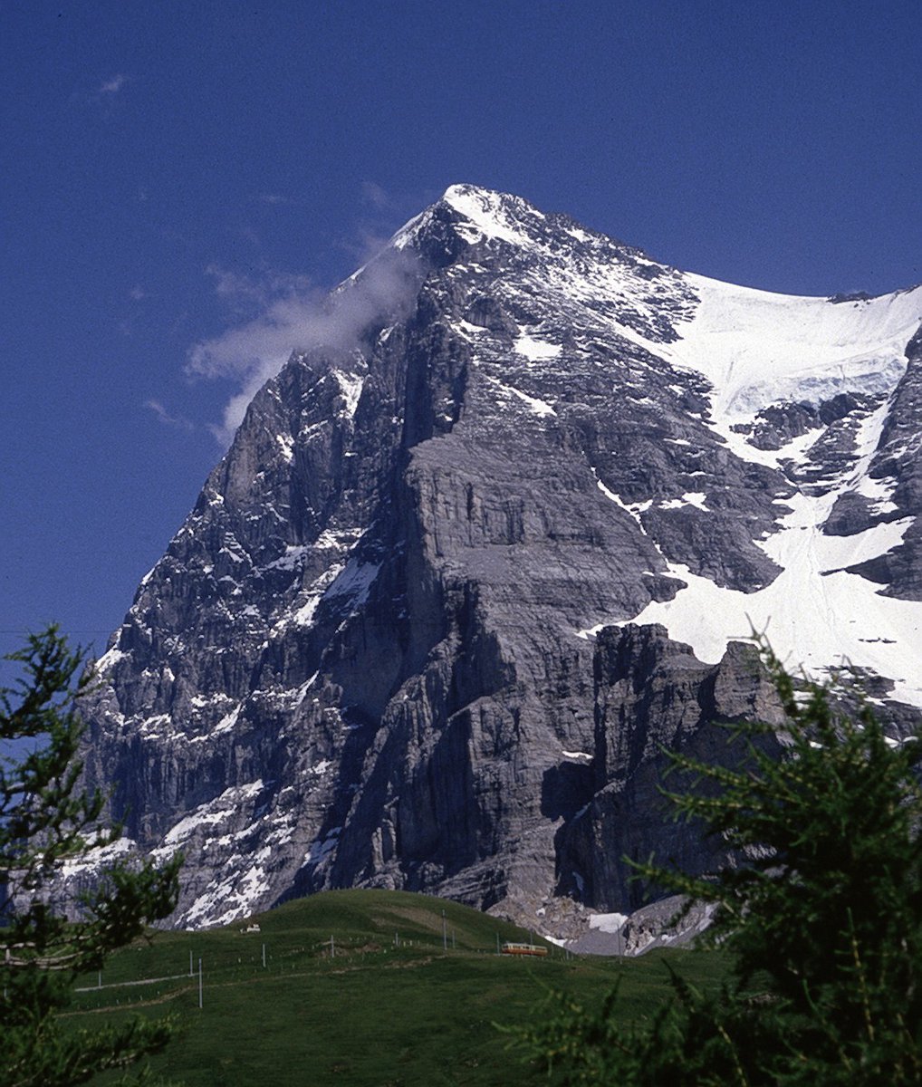 Andy Godfrey tweet media