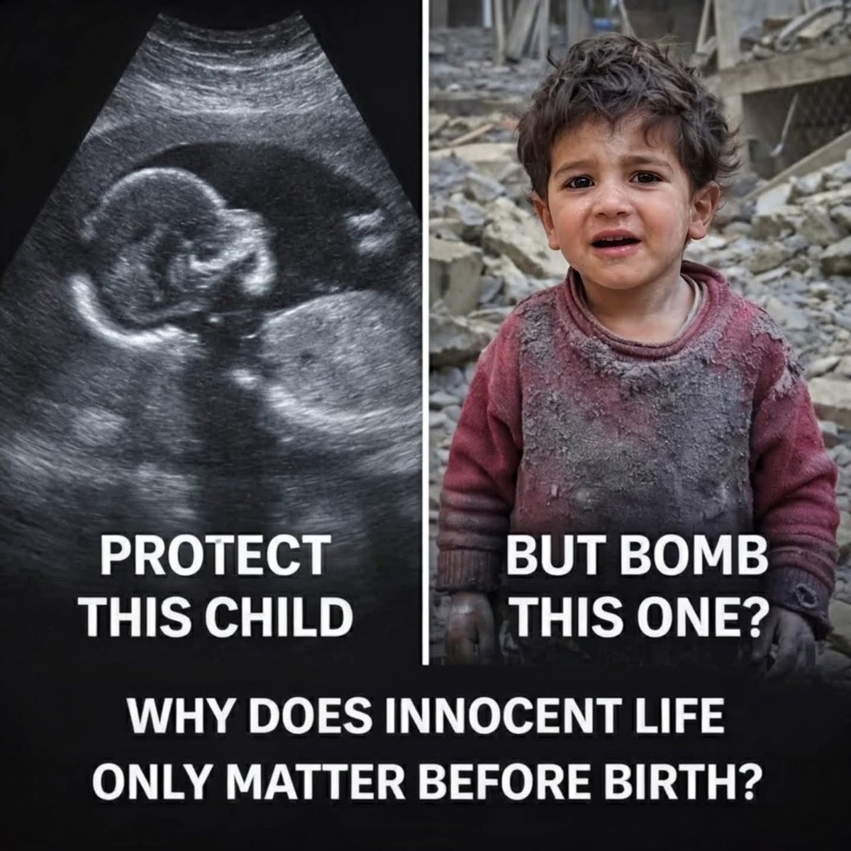 🔸️The.Angry.Ostrich. tweet media