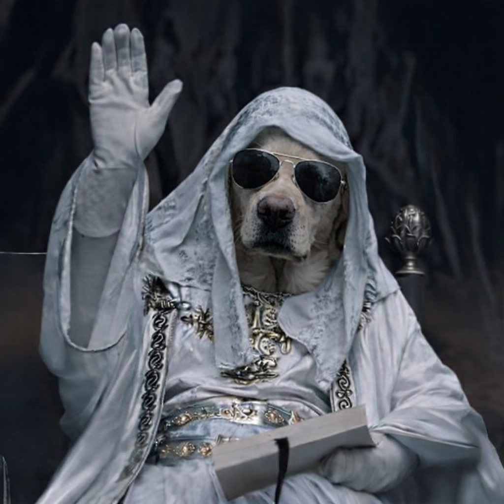 The Crypto Dog Meme Official tweet media