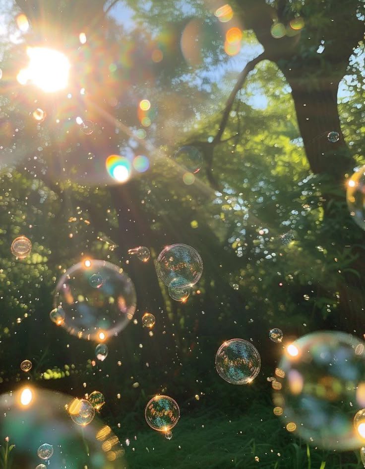 only aesthetic tweet media