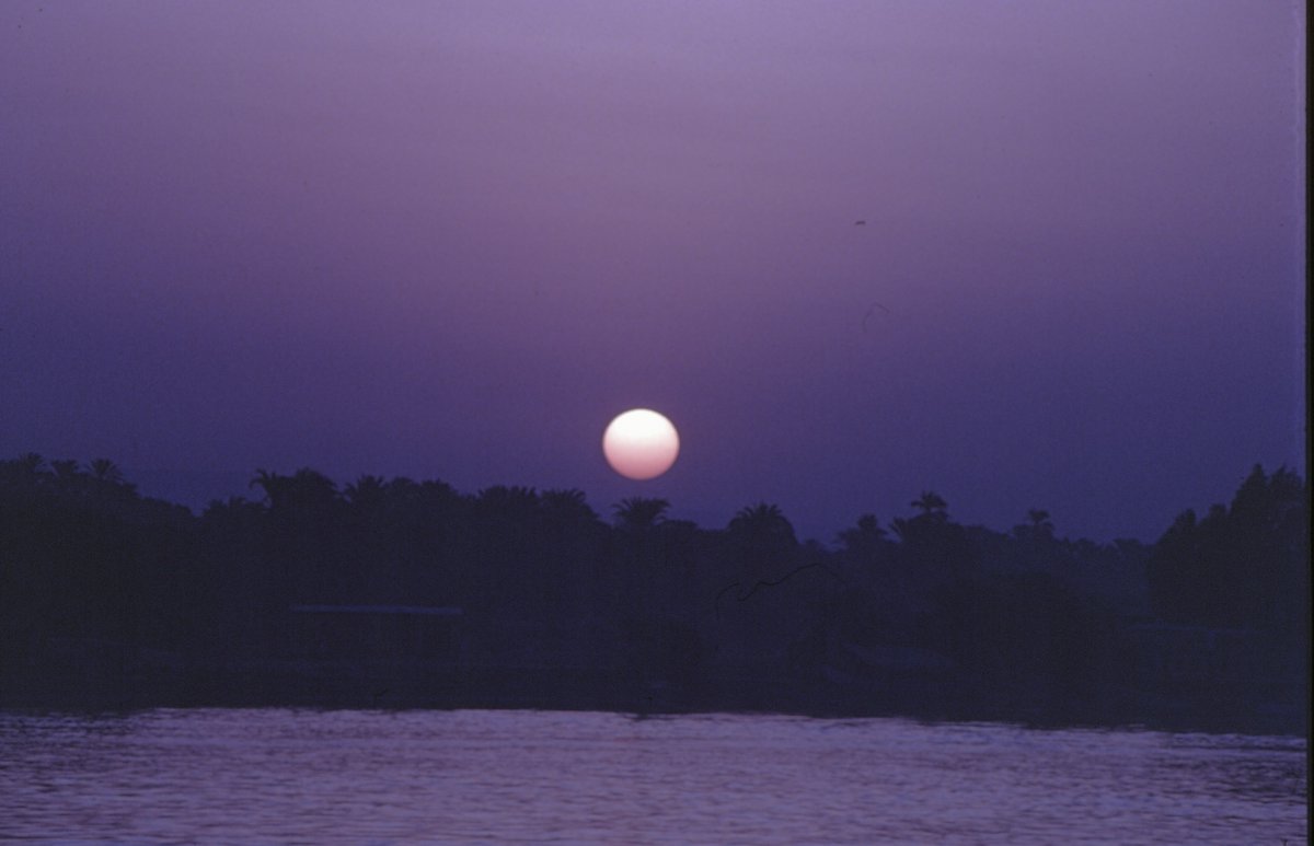 Andy Godfrey tweet media