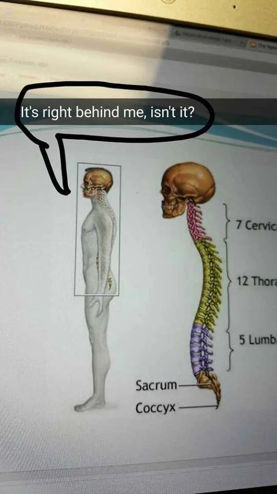 andaz (@andaz_1899) on Twitter photo 