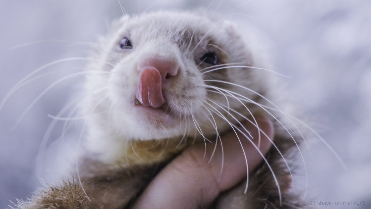 Pirate Software tweet media