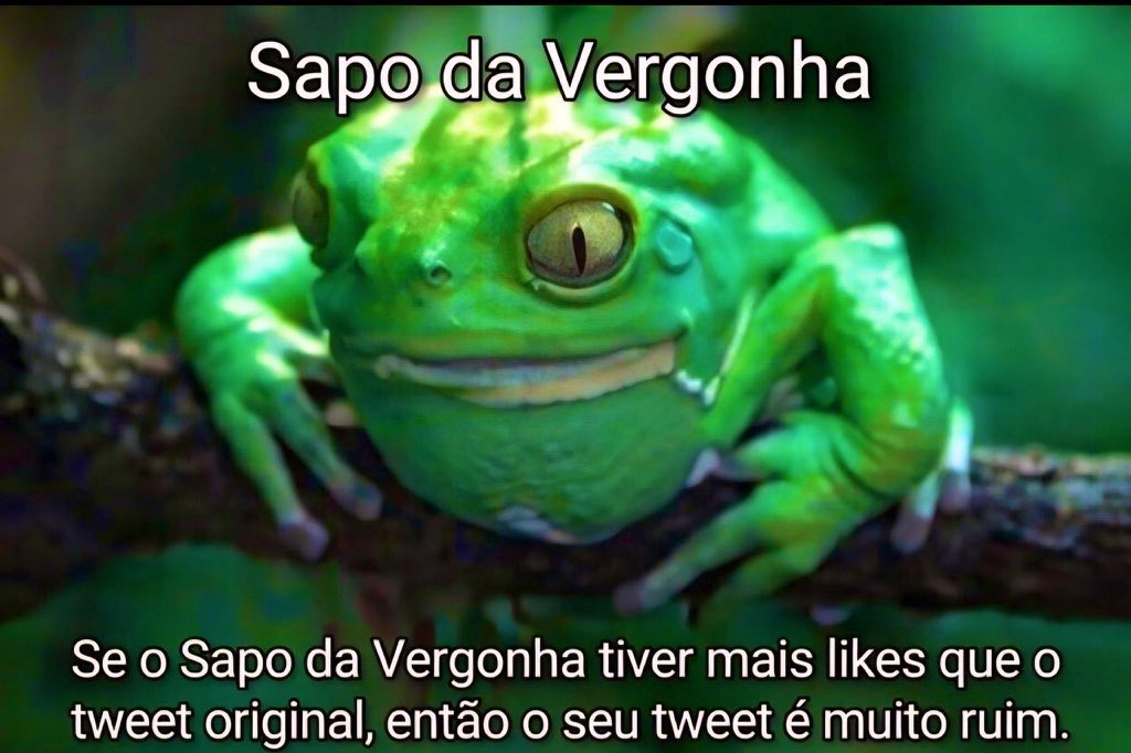 willwill 🚨🚨🚨 tweet media