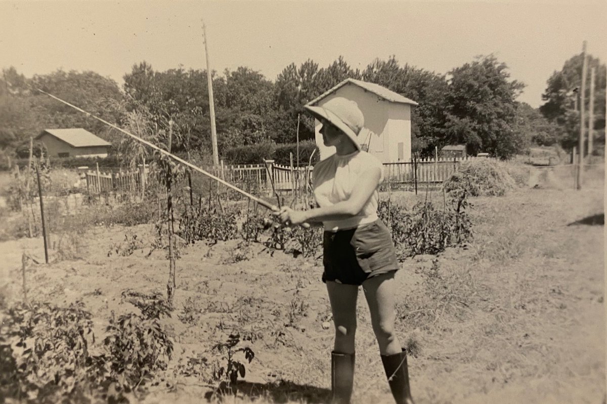 Alison Moyet tweet media