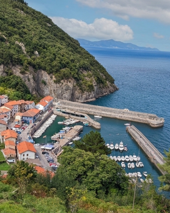 Visit Basque Country tweet media