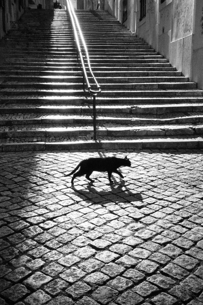 Linda Wisdom Photography 💙 tweet media