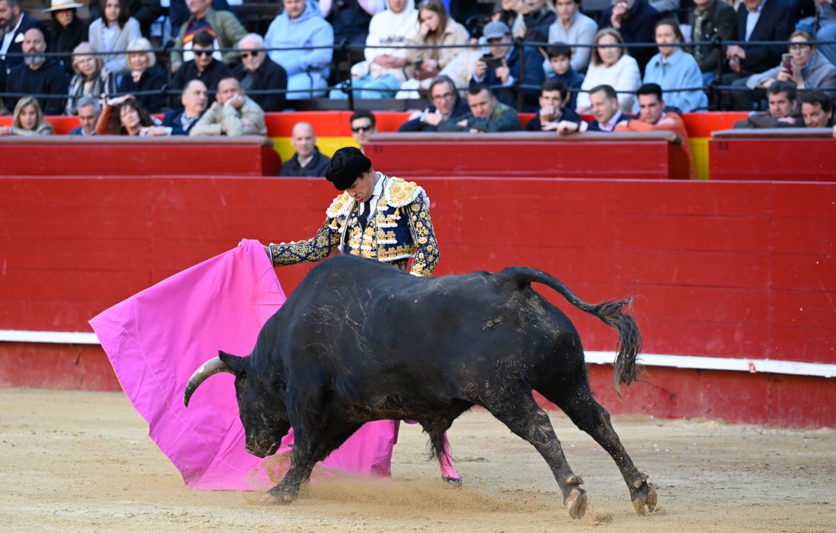 Vicente Mompó Aledo tweet media