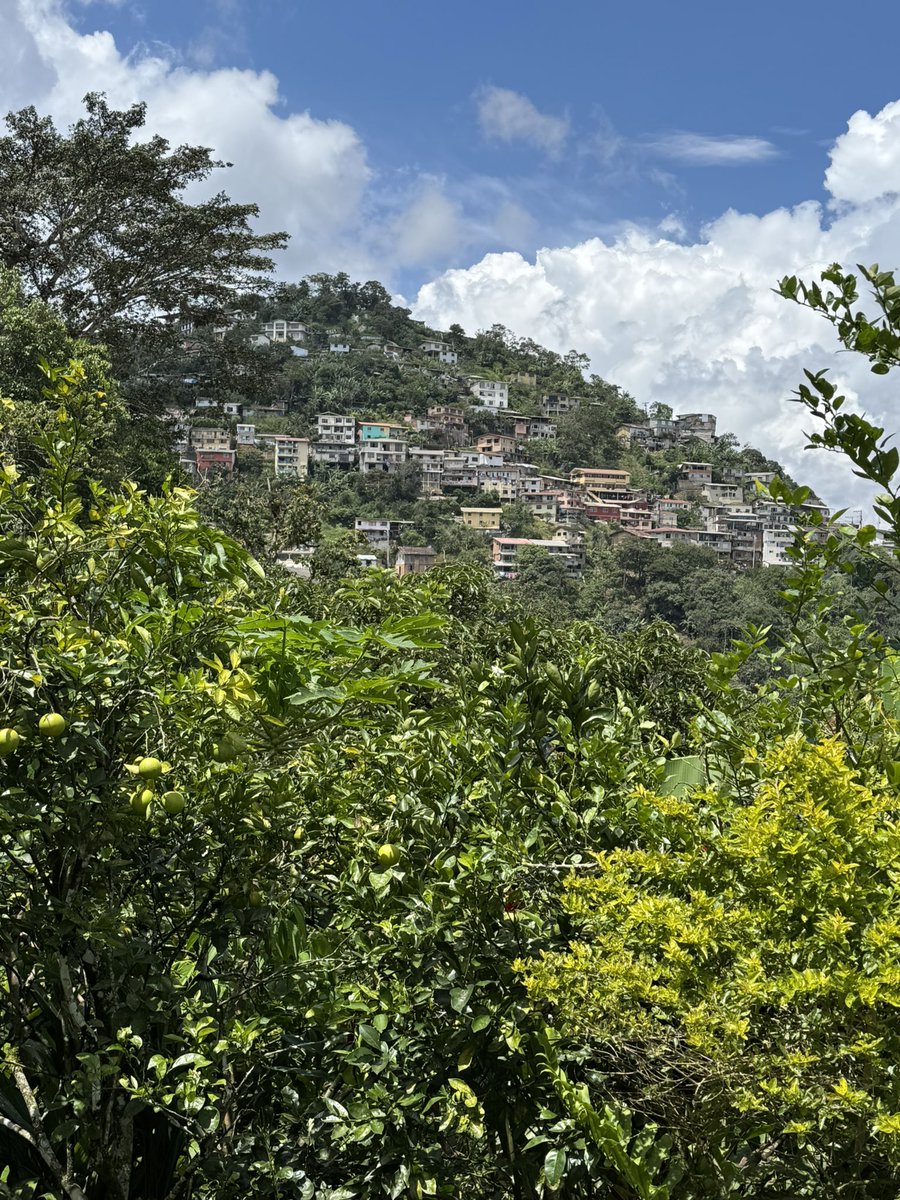 En Zaruma.