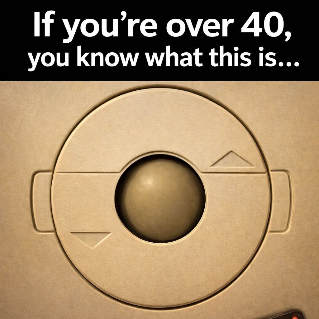 Elizabeth❣️ tweet media