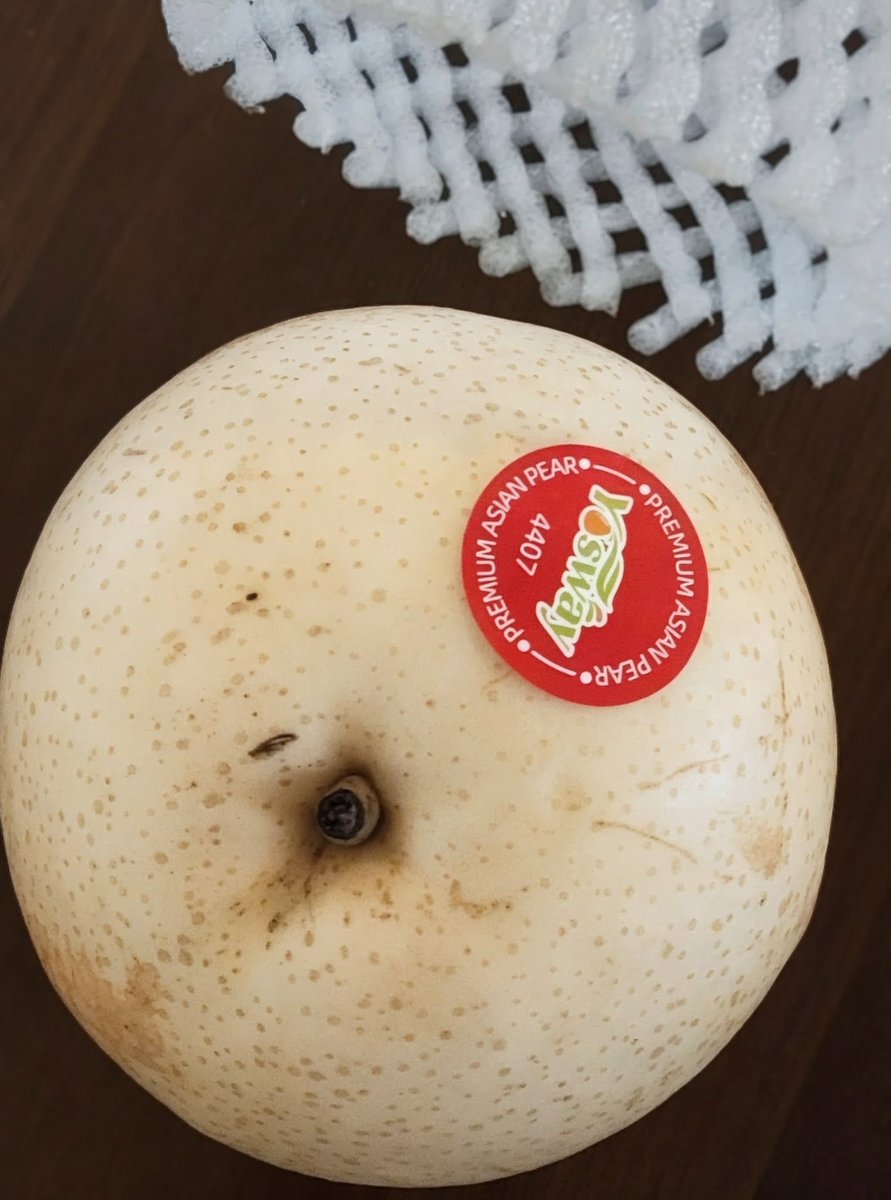 ☮️💙 Lena C 💙☮️ tweet media