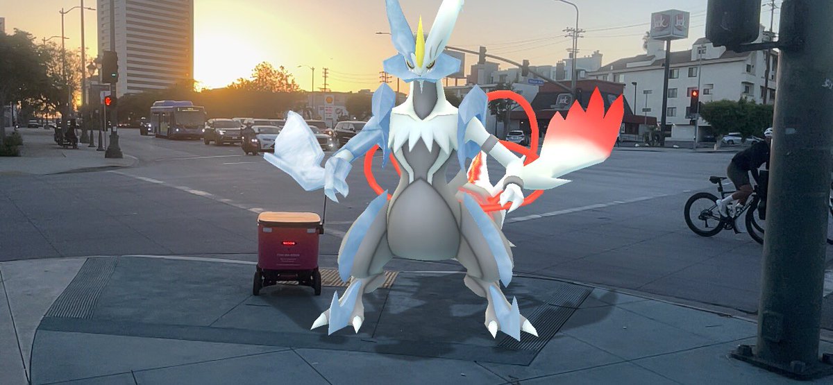 Virginia Postrel tweet media