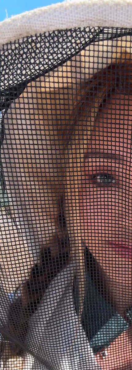 JARRY LEE tweet media