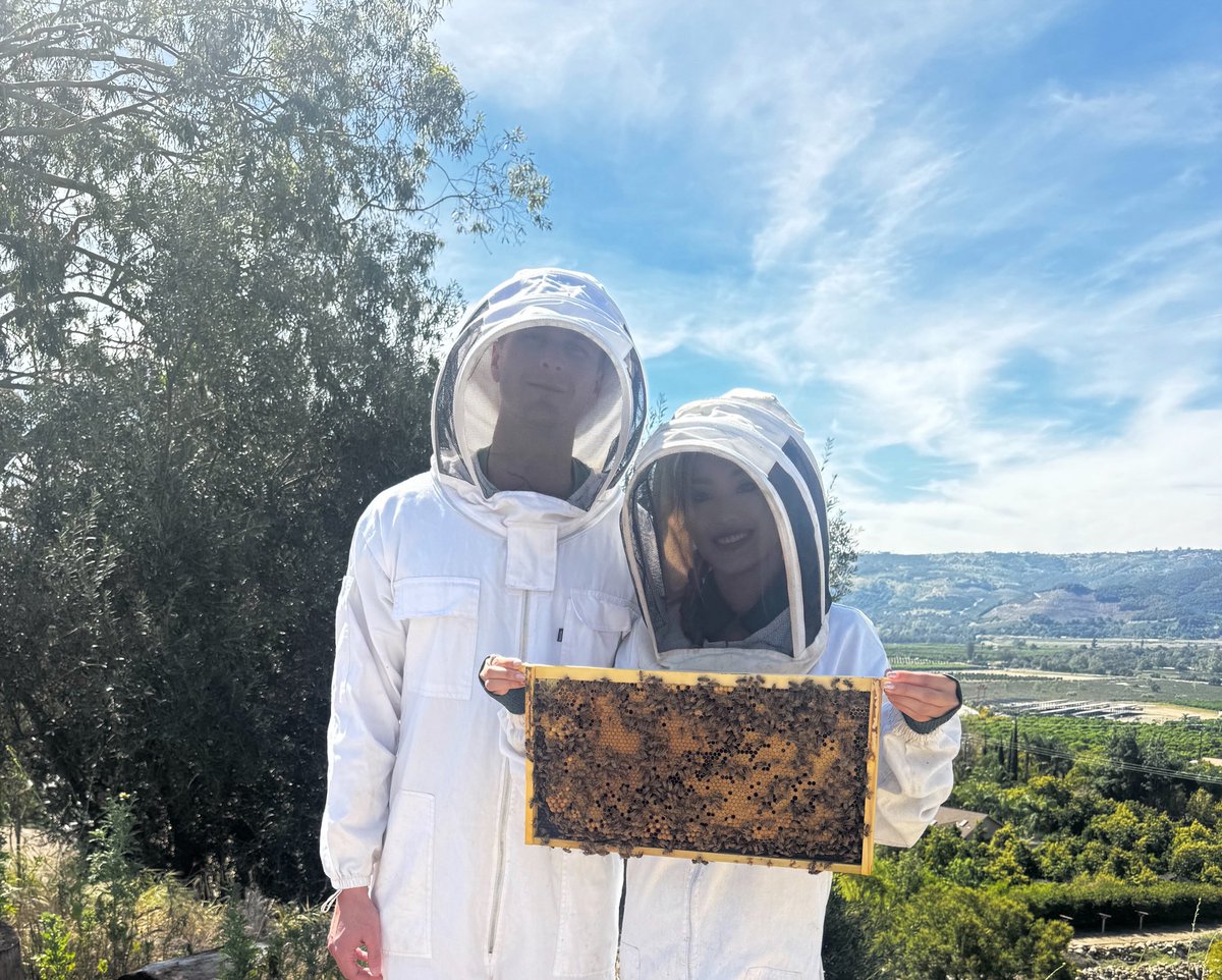 JARRY LEE tweet media