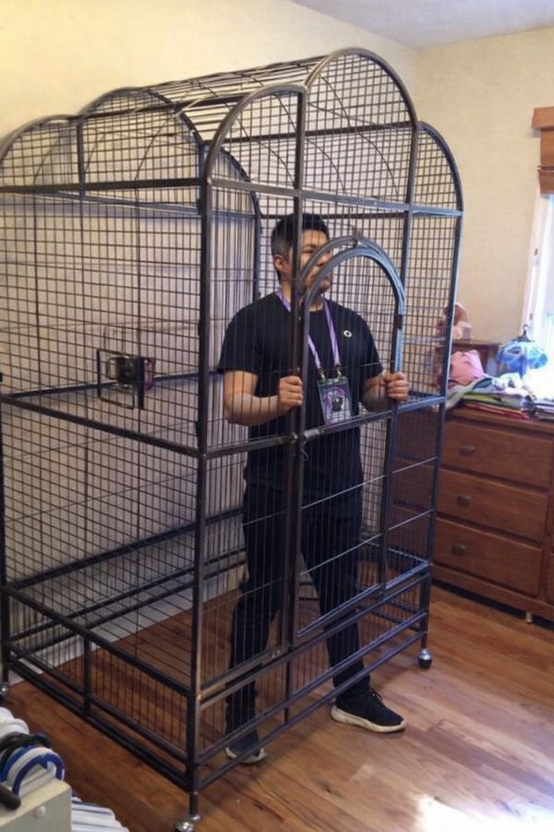 The Pipeline tweet media