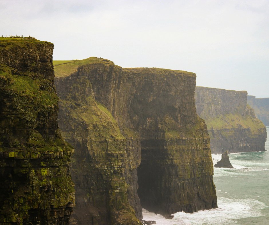 Neale Donald Walsch tweet media