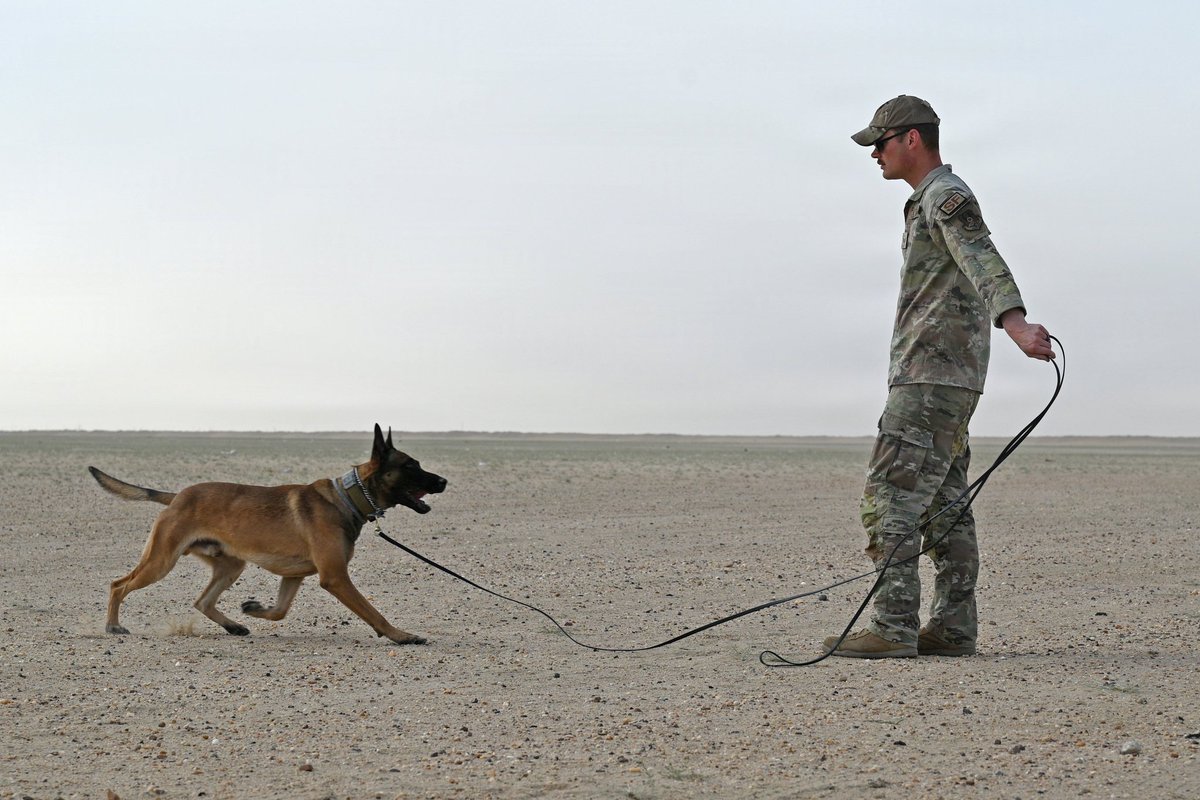 U.S. Central Command - Arabic tweet media