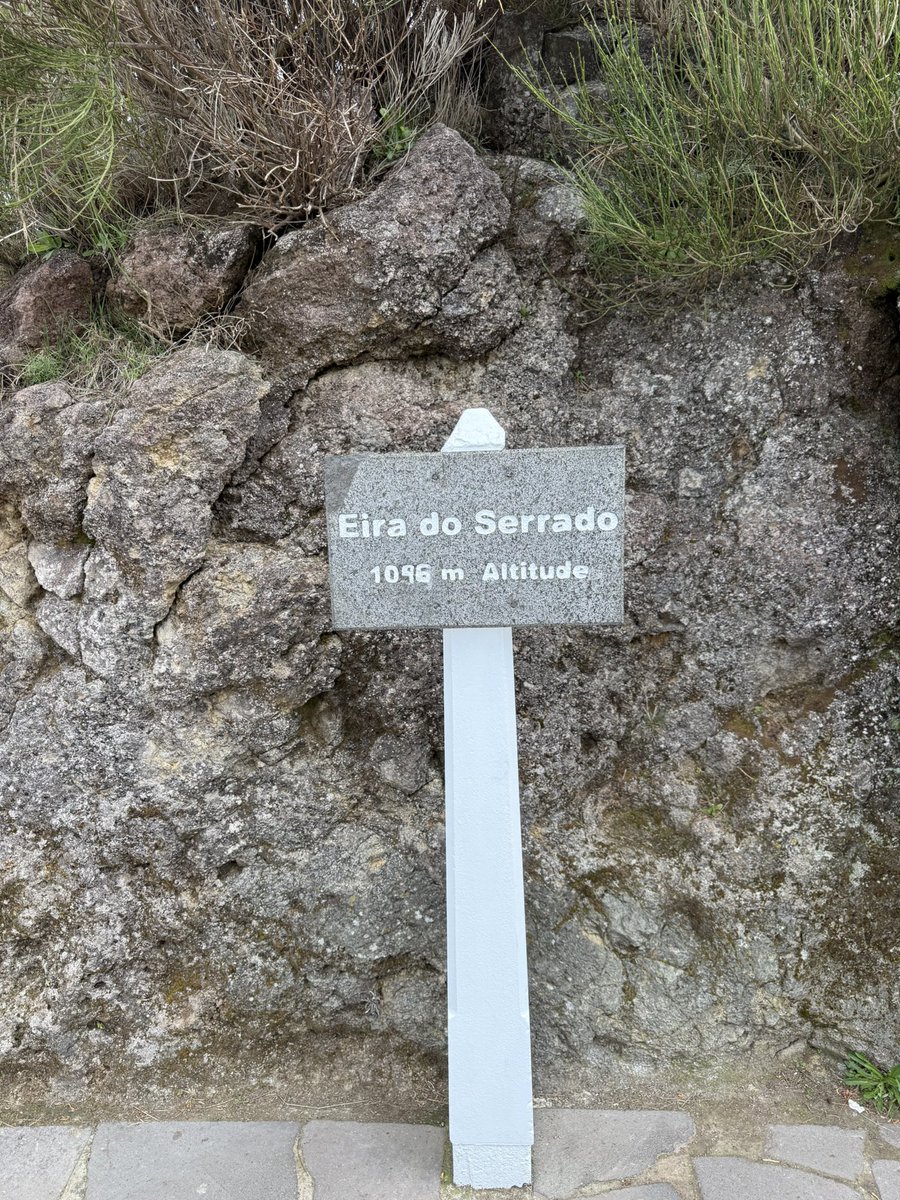 Nya 🇳🇱 tweet media