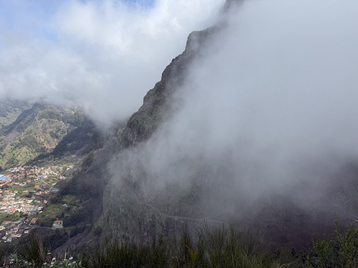 Nya 🇳🇱 tweet media