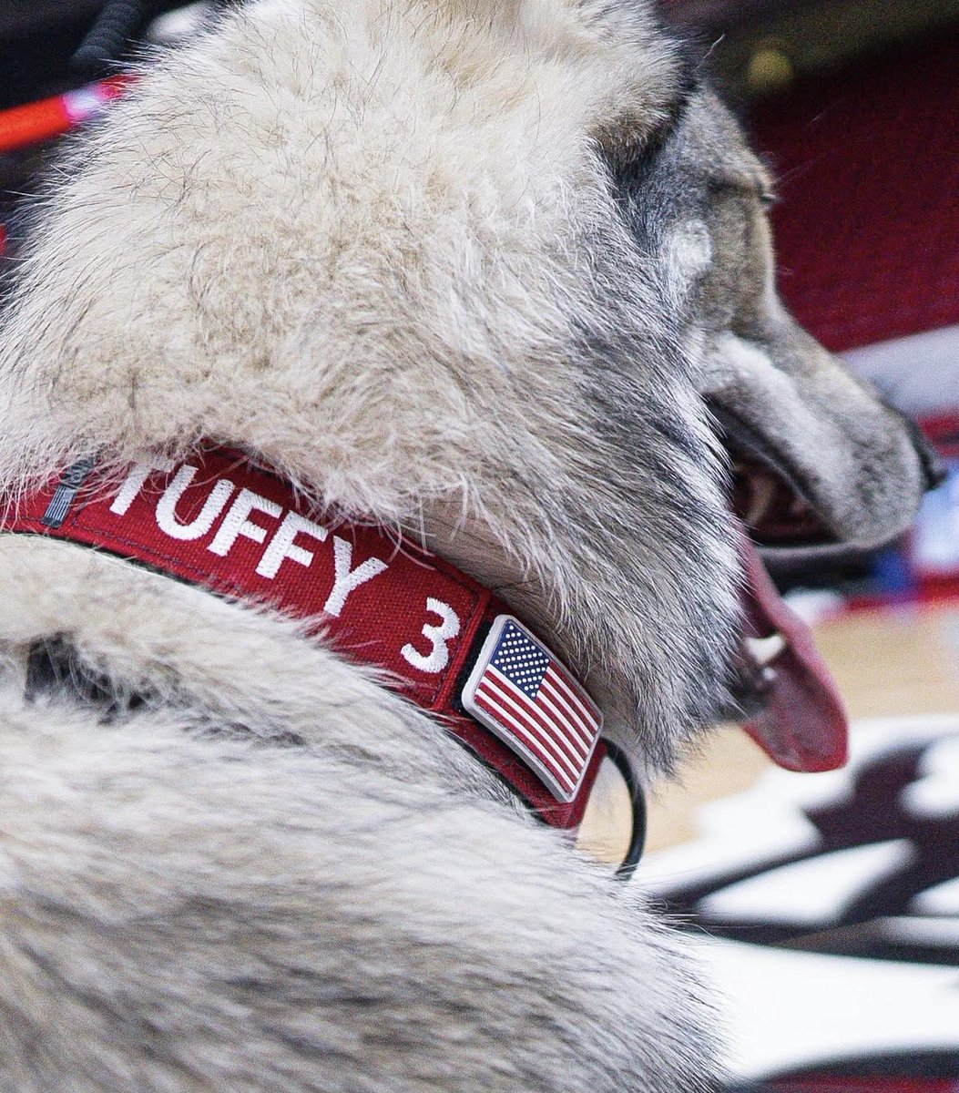 NC State University tweet media