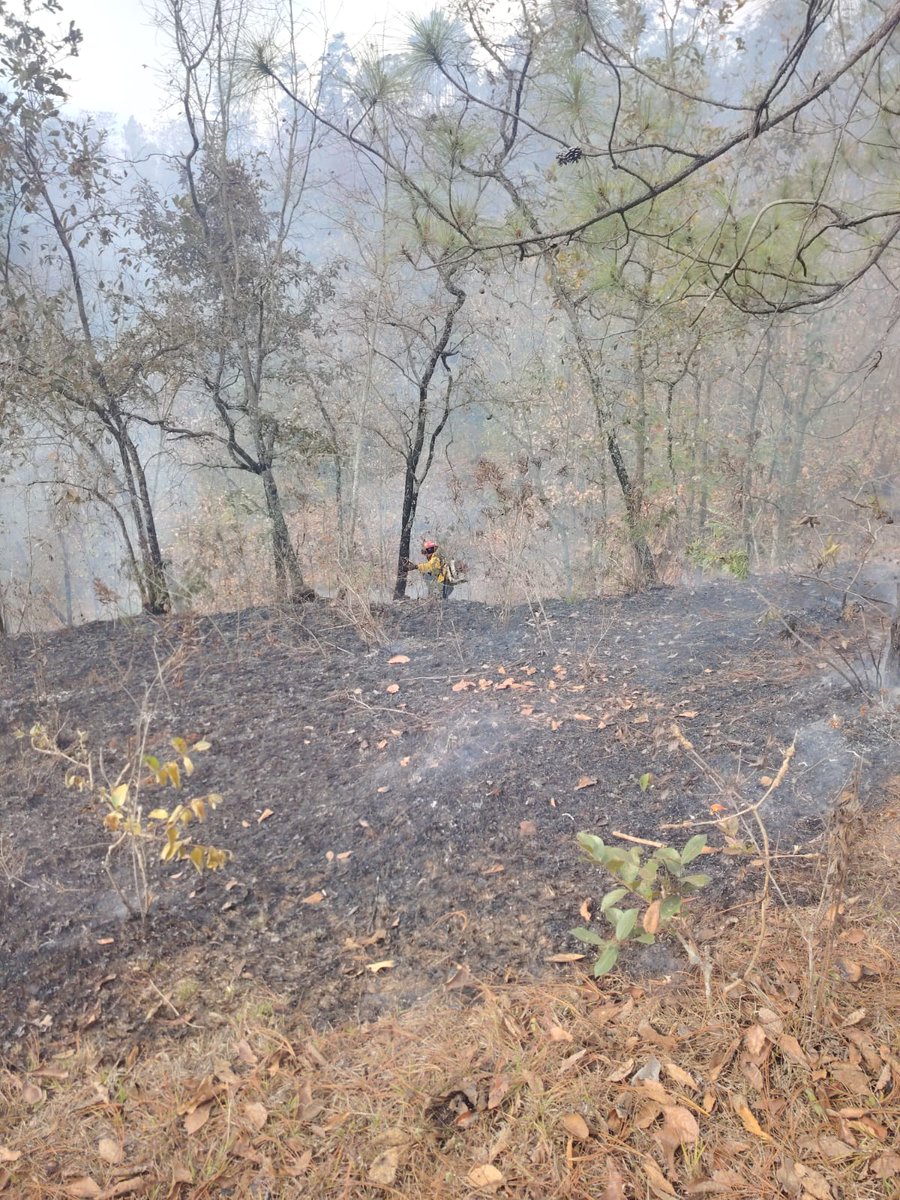 ConredGuatemala's tweet photo. #Guatemala Se reporta el 100% de control y 95% de liquidación del incendio registrado en aldea La Ciénaga, San Raymundo, Guatemala. Personal de #UGAM, @CONAPgt y #BALAM realizaron las acciones en el área.
Fotografías: Sistema CONRED. https://t.co/1bmw3sf5Lq