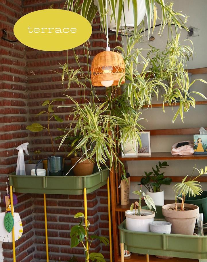 وتمضي الايام tweet media