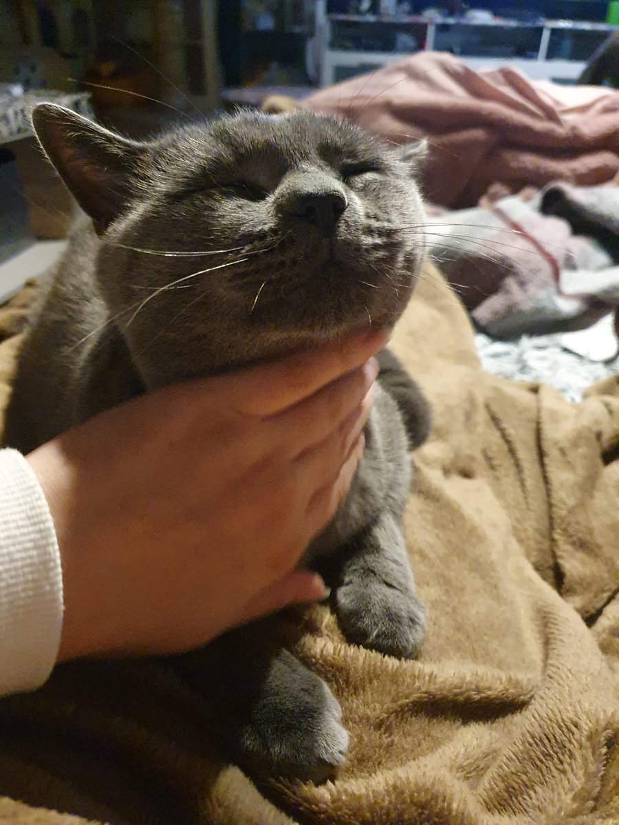 Cosmo $SMO tweet media