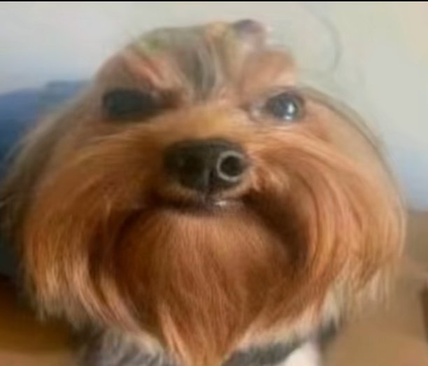 ignaaBro tweet media